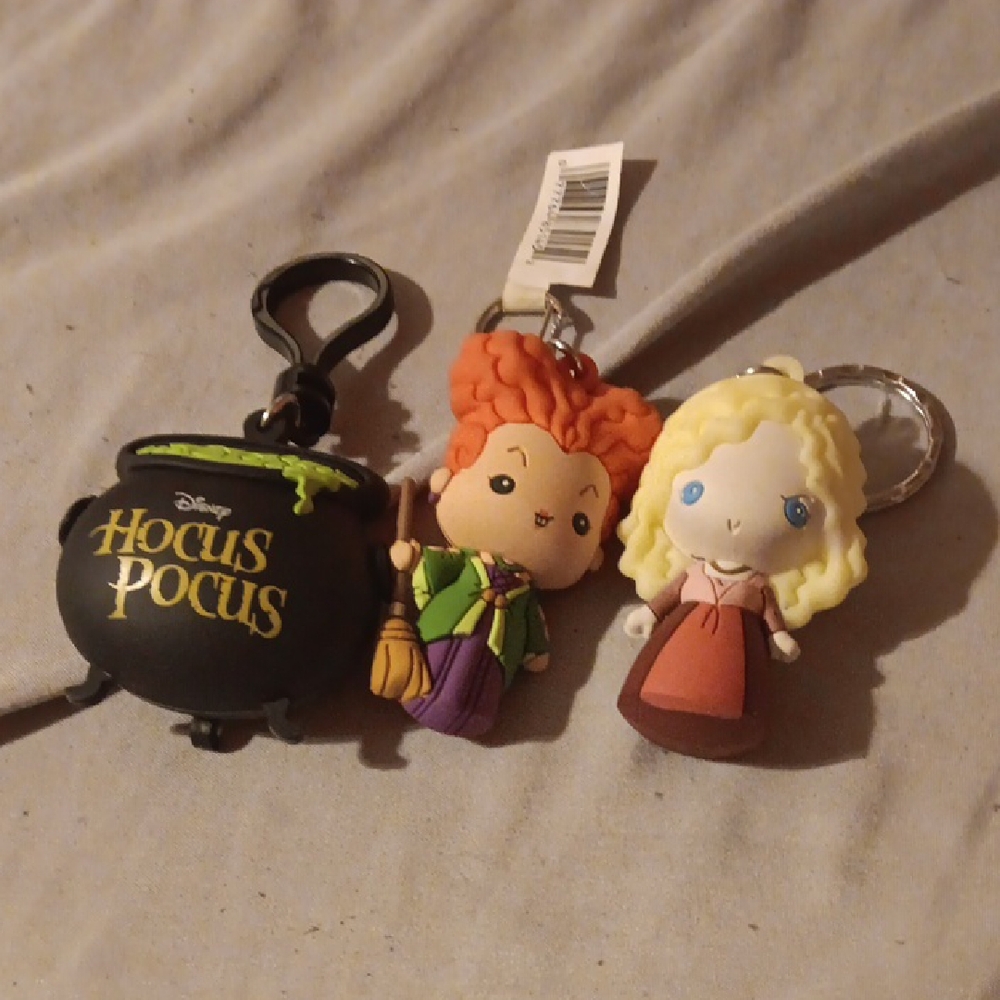 Disney Hocus Pocus Key Chains